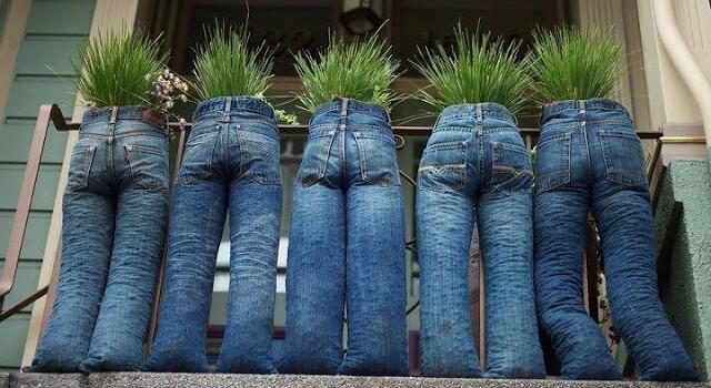 Tanam Pohon Pake Celana Jeans, Gimana Caranya?