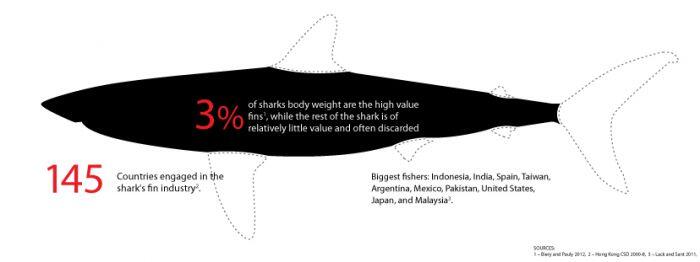 Shark Finning : fenomena pemotongan sirip hiu hidup-hidup untuk konsumsi