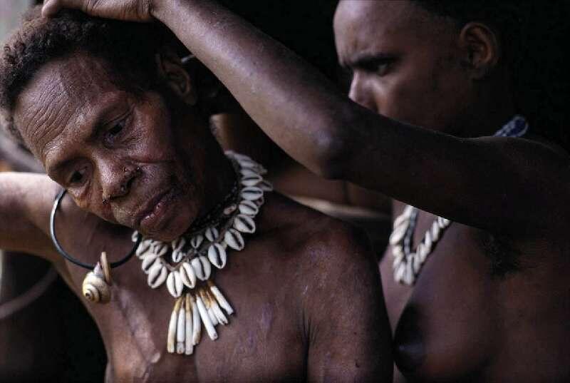 Beginilah Potret Kehidupan Rumah Pohon Suku Korowai di Papua