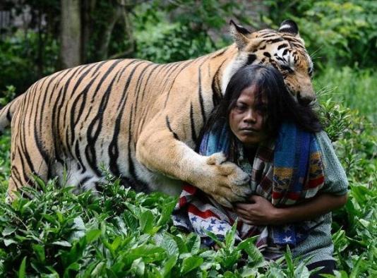 Kisah Soleh dan Mulan Jamela