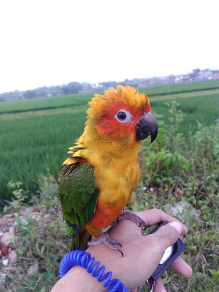 &#91;Berita Kehilangan&#93;