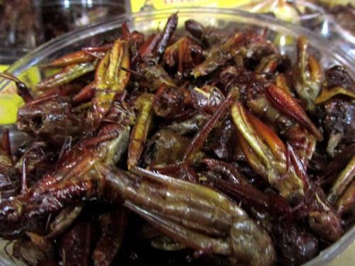 Menu Berbuka Puasa Anak Kost: 15 Masakan Ini Mudah Dimasak dan Murah. 