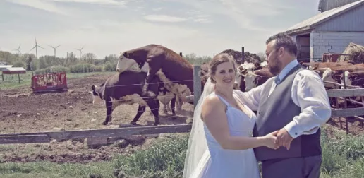 Photobomb Sapi di Pre-Wedding Ini Bikin Ngakak Gan