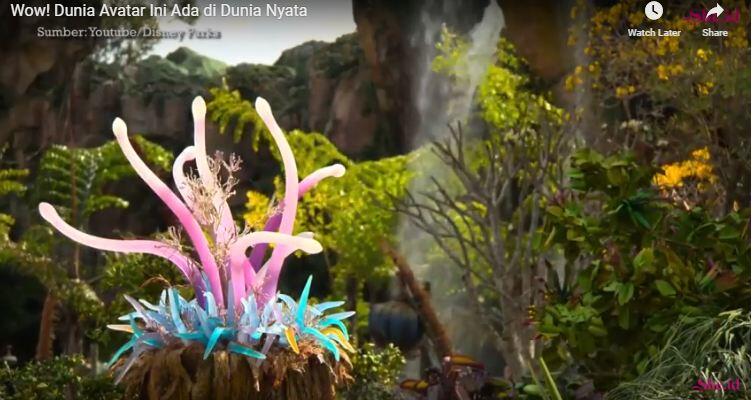 Wow! Tak Hanya di Film, Dunia Avatar Ini Ada di Dunia Nyata