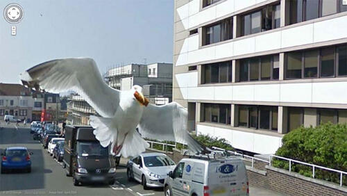 Hal-hal Aneh yang Pernah Ketangkep Google Street View