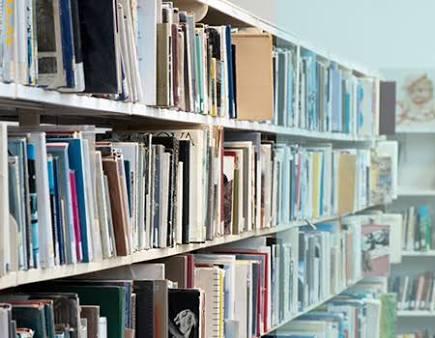 Tipe Pengunjung Perpustakaan