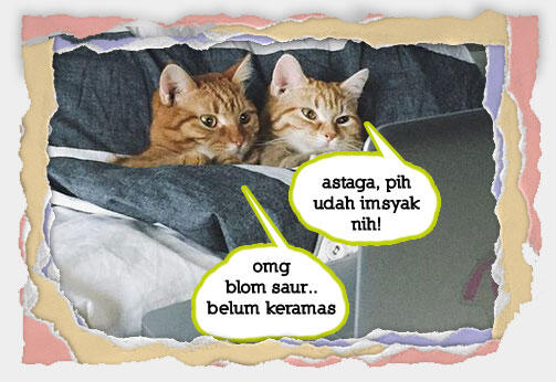 Inikah Yang Terjadi Kalau Si Meong Ikut Berpuasa (Meme Pus Edition)