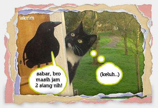 Inikah Yang Terjadi Kalau Si Meong Ikut Berpuasa (Meme Pus Edition)