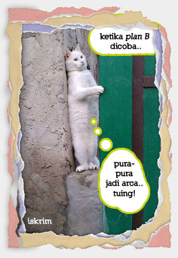Inikah Yang Terjadi Kalau Si Meong Ikut Berpuasa (Meme Pus Edition)