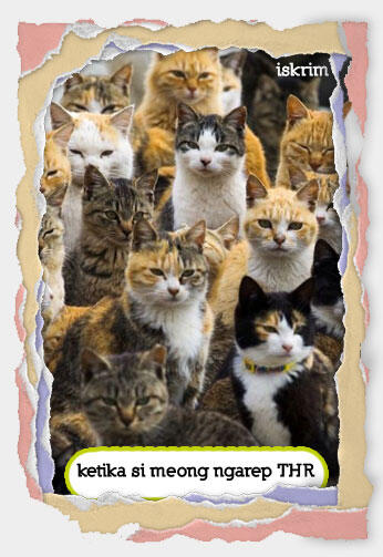 Inikah Yang Terjadi Kalau Si Meong Ikut Berpuasa (Meme Pus Edition)