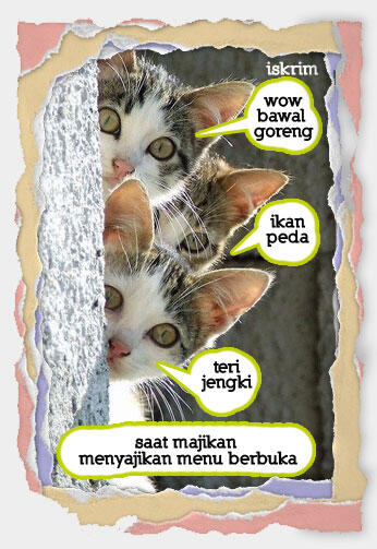 Inikah Yang Terjadi Kalau Si Meong Ikut Berpuasa (Meme Pus Edition)
