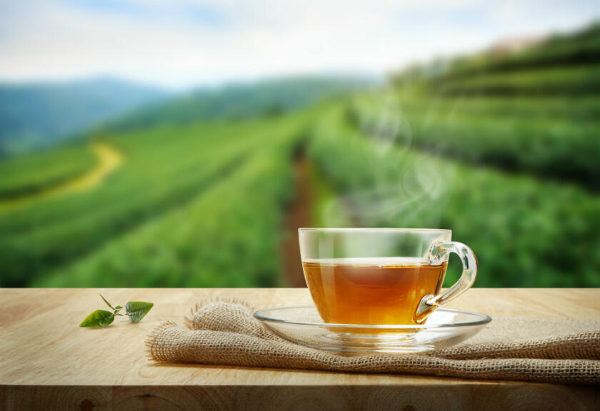 Wow! Mahasiswa Ini Ciptakan Teh Dari Bunga Pinus