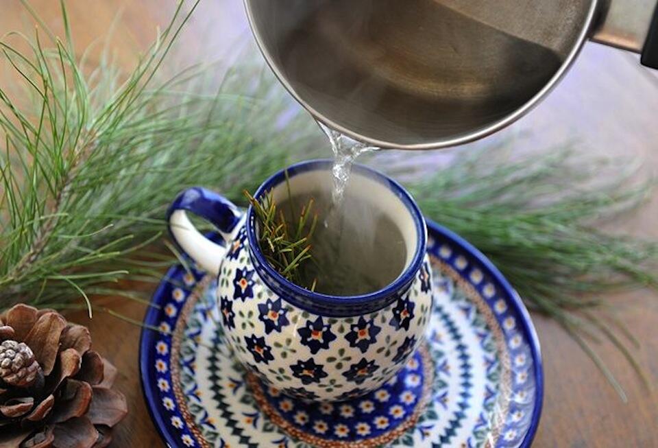 Wow! Mahasiswa Ini Ciptakan Teh Dari Bunga Pinus