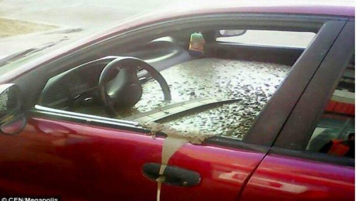 Marah, Suami Cor Mobil Istri Pakai Semen