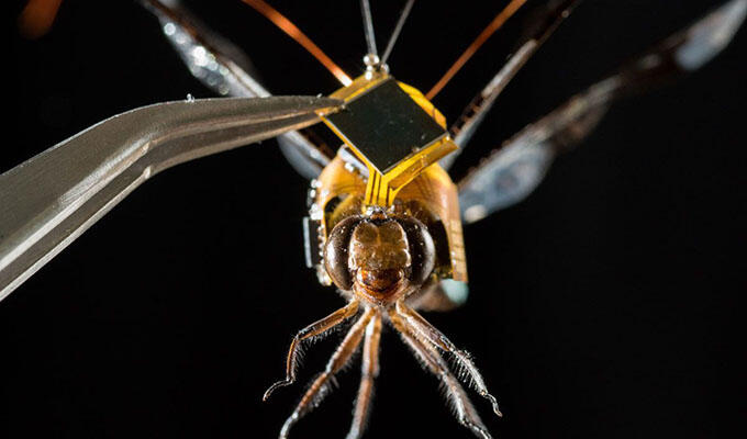 DragonFly, Drone Terkecil di Dunia