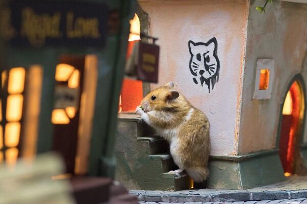 Ini Jadinya Jika Hamster Punya Kota Beneran! 