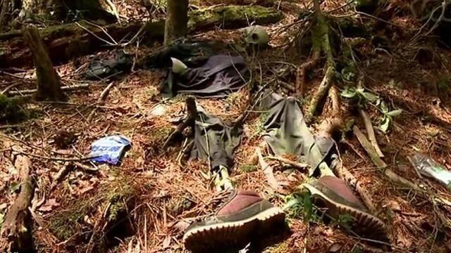 5 Fakta Seram Hutan Aokigahara, Lokasi Bunuh Diri Terpopuler di Jepang