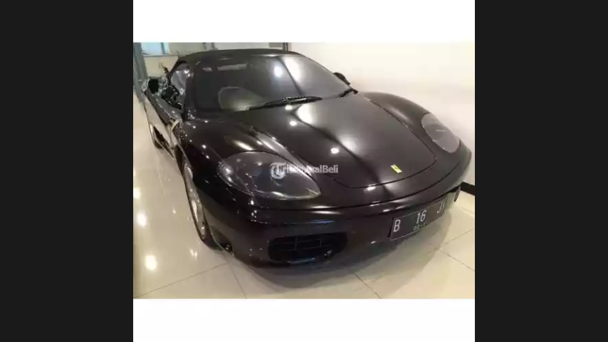 Hewan Yang Di Urus Layaknya Petinju Dunia.