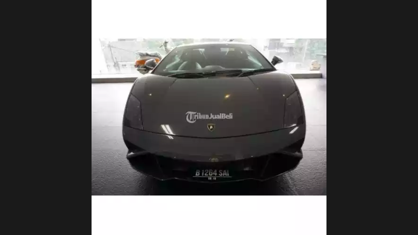 Hewan Yang Di Urus Layaknya Petinju Dunia.