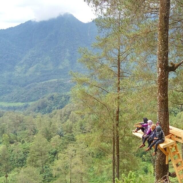 Balasan Dari Lagi Hits Pohon Selfie Di Curug Lawe