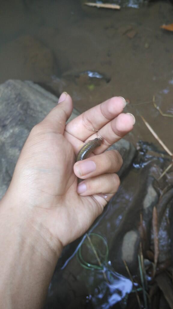 #Berbagiberkah: kegiatan ngabuburit bikin puasa agan jadi seru & berwarna