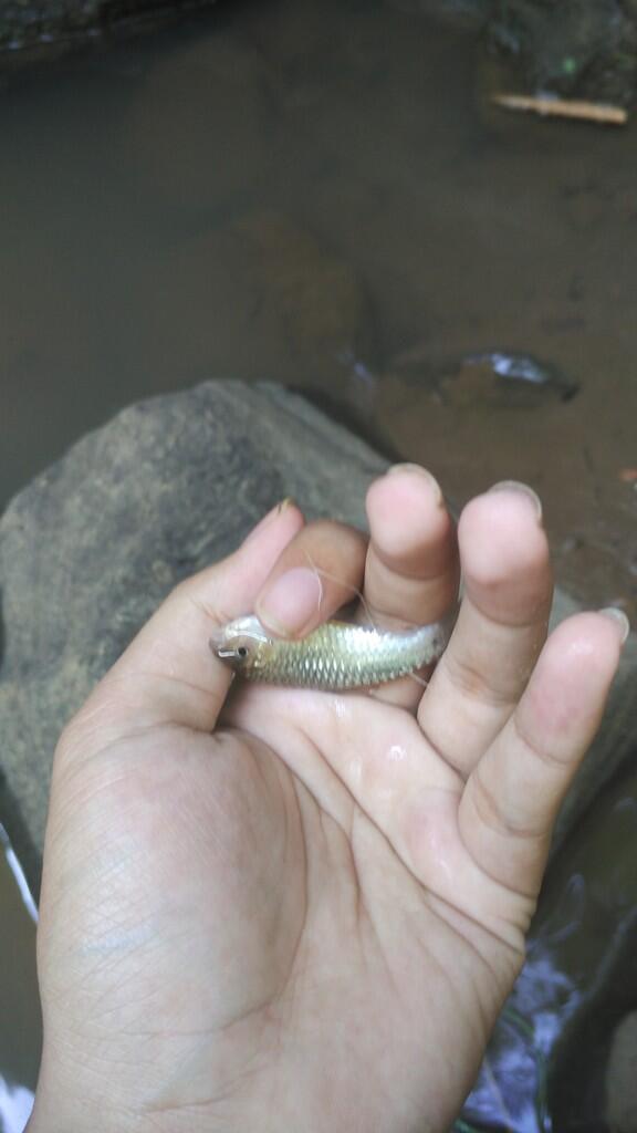 #Berbagiberkah: kegiatan ngabuburit bikin puasa agan jadi seru & berwarna