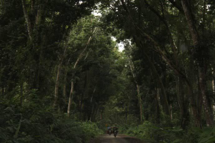 5 Tempat Paling Angker di Jawa Timur yang Bakal Bikin Kamu Merinding
