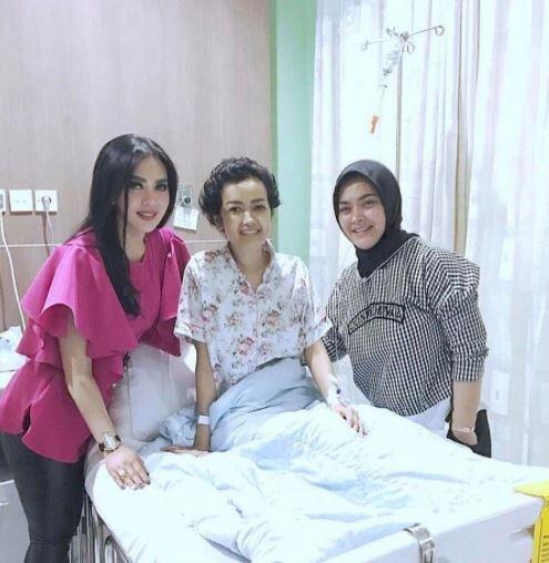 Mengenang Julia Perez Dari Awal Karier Hingga Berjuang Melawan Kanker