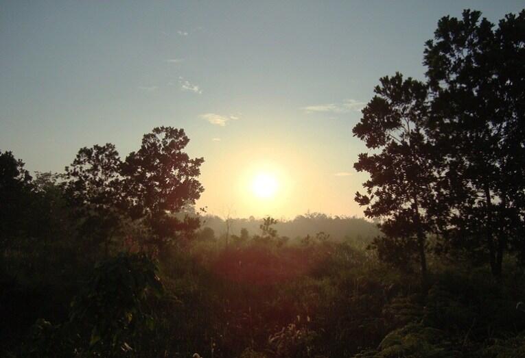 Bagaimanakah Tanda Malam Lailatul Qadar?