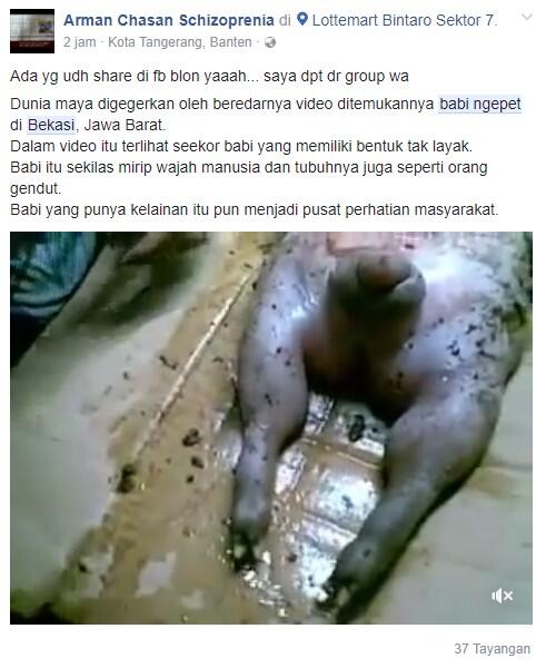 Babi Ngepet Tertangkap di Bekasi Bikin Heboh Warga