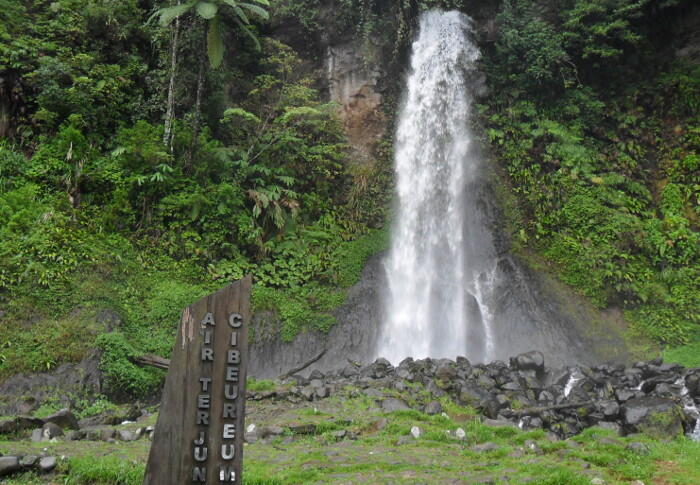 YUK WISATA ALAM ! SIAPA TAHU BERTEMU SURILI, SI PRIMATA ENDEMIK JABAR