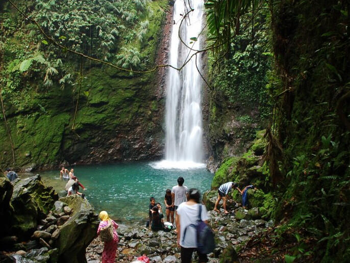YUK WISATA ALAM ! SIAPA TAHU BERTEMU SURILI, SI PRIMATA ENDEMIK JABAR