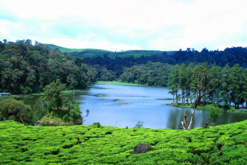 YUK WISATA ALAM ! SIAPA TAHU BERTEMU SURILI, SI PRIMATA ENDEMIK JABAR