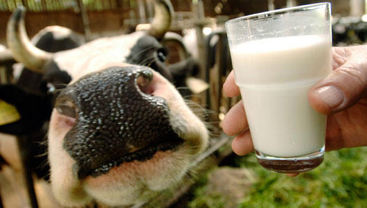 Selain Susu, 9 Makanan ini Ternyata Kuatkan Tulang