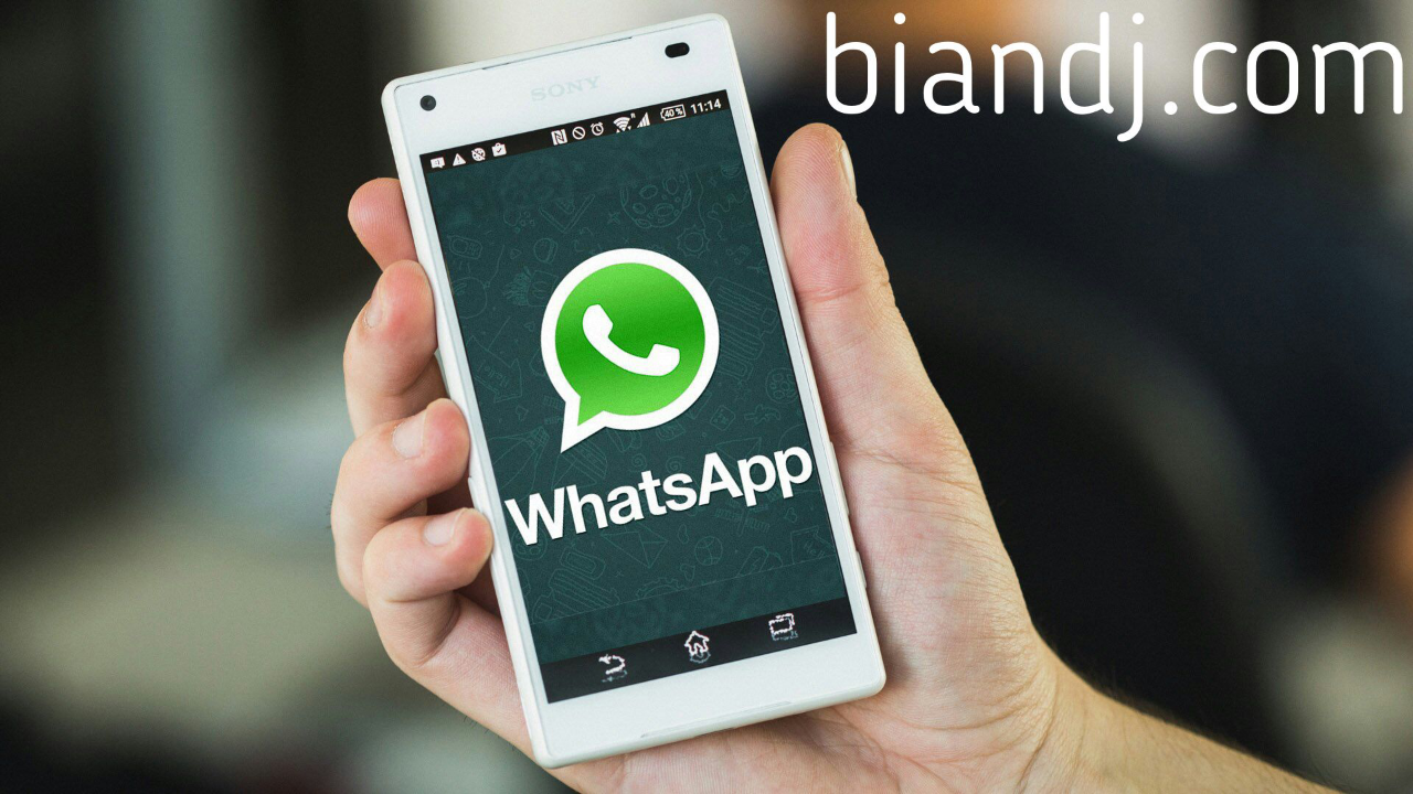 Cara Kembalikan Status Lama di WhatsApp | KASKUS