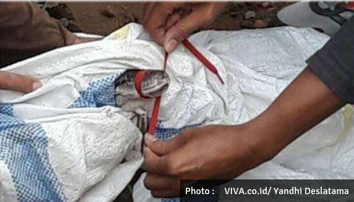Ular Piton Hebohkan Warga Saat Sahur