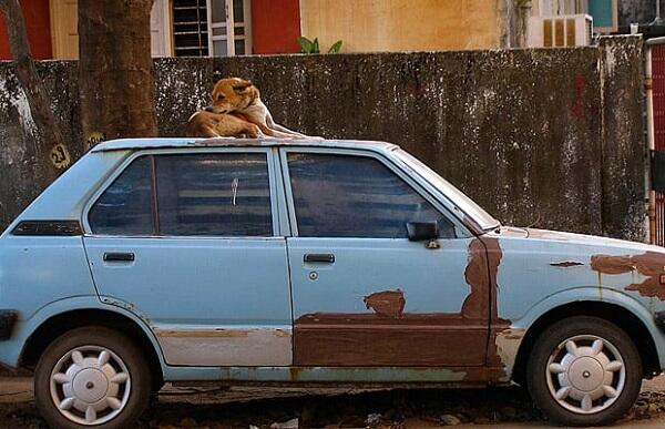 7 Aturan Unik Berkendara Yang Harus Agan Ketahui Sebelum Road Trip!