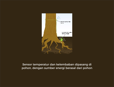 Potensi listrik kedondong yang sebenernya tuh gini bray!