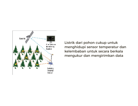 Potensi listrik kedondong yang sebenernya tuh gini bray!