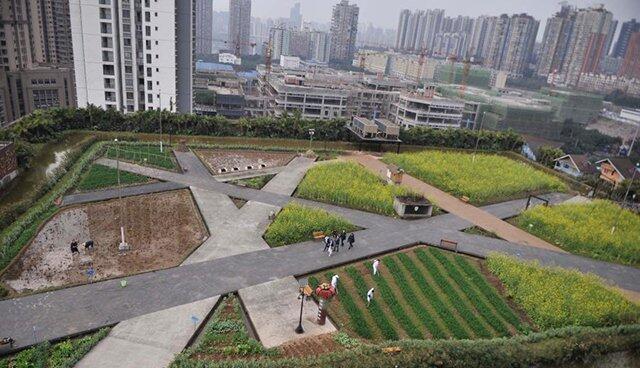 Tebak Lokasi Berkebun Ini Ada Dimana?