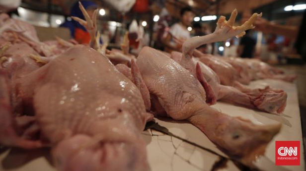 Menengok Proses Pemotongan Ayam Halal Secara Massal
