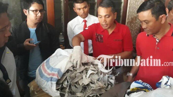 Sirip Hiu yang Sudah Diolah Dijual Seharga Rp 2 Juta Per Kilogram