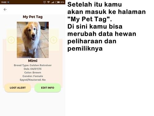 Nggak Perlu Takut Kehilangan Hewan Kesayangan dengan Pet Tag