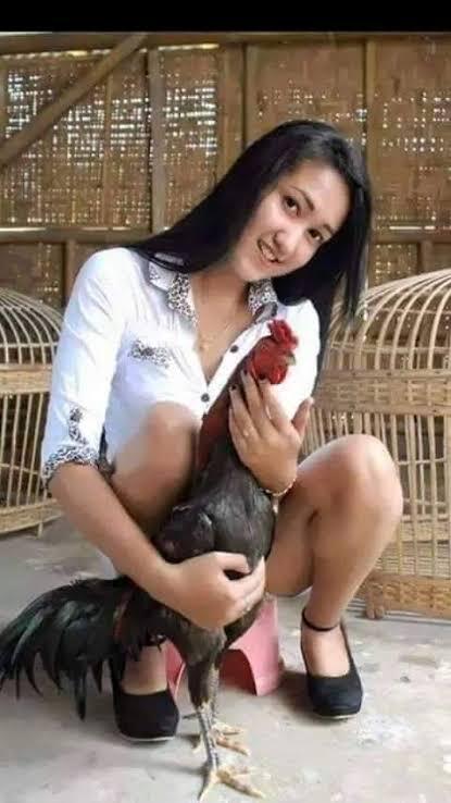 Wanita penghobi ayam