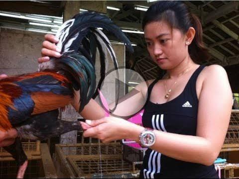 Wanita penghobi ayam