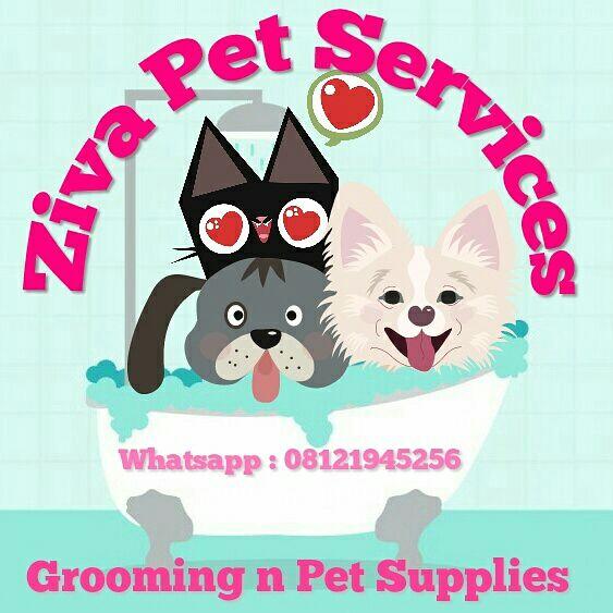 Ziva Grooming Pet Service