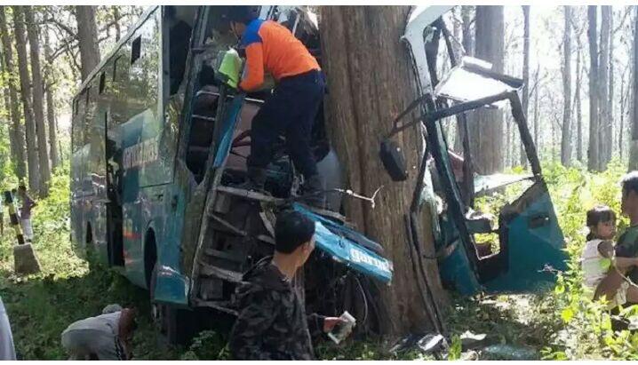 Perjalanan Bus Pengangkut Pemudik Berakhir Tragis di Hutan Angker