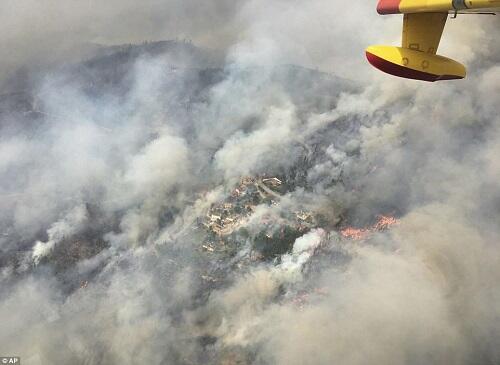 (FOTO) Kebakaran Hutan di Portugal Tewas Puluhan Orang