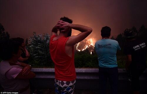 (FOTO) Kebakaran Hutan di Portugal Tewas Puluhan Orang