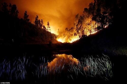 (FOTO) Kebakaran Hutan di Portugal Tewas Puluhan Orang